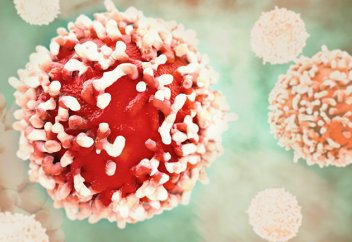 Лейкемияны жоятын жасуша