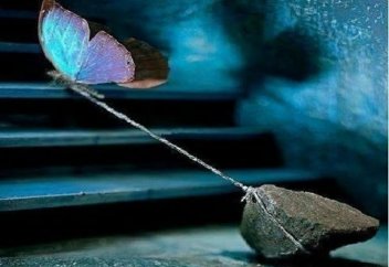 Зайыбына немесе күйеуіне исламды насихаттап, мұсылман етуге талпыныс жасауды қылмыс ретінде танитын заң қабылданды