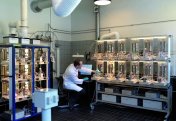 Жаңа катализатор көмірқышқыл газын қалдыққа емес, шикізатқа айналдырады