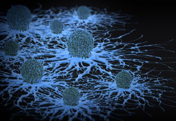 Для развития рака достаточно всего одной мутации