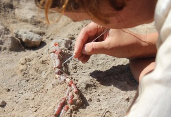 Разное: Редкостная исламская находка обнаружилась в Польше