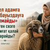 «Әйел адамға мал бауыздауға болмайды» деген сөзге шариғат қалай қарайды?