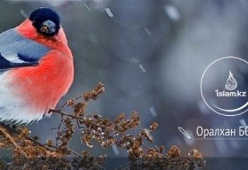 Тамаша тәмсіл