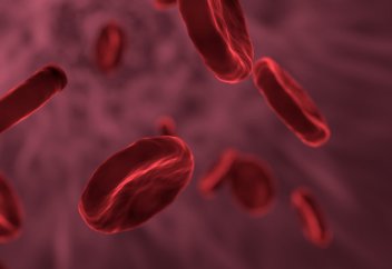 Ғалымдар адамның функциялы қан жасушаларын алуға қол жеткізді