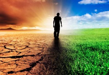 Жылына әлемдегі өлім-жітімнің 15%-ы тек бір себептен болады