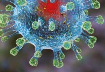 Коронавирус - Исламтанушы Нұржан ұстаз. Тікелей эфир.