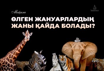 Өлген жануарлардың жаны қайда болады?