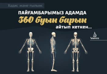 Пайғамбарымыз адамда 360 буын барын айтып кеткен...