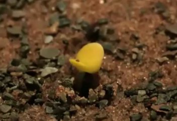 Қайта тірілудің дәлелі