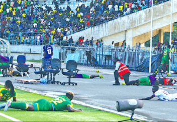 Пчелы напали на футболистов во время матча и обратили их в бегство (видео)