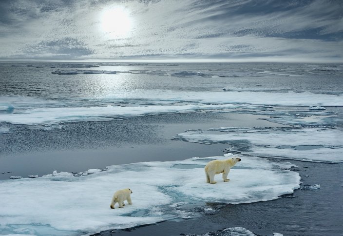 Арктика нагревается в три раза быстрее, чем вся планета