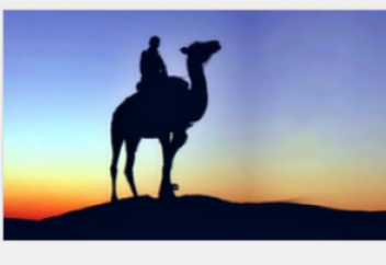 Жапандағы түйекеш (видео)