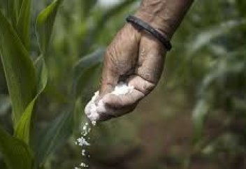 Астық немесе жеміс түсімін арттыратын биометан жасалды