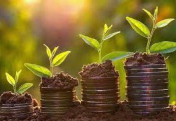 Как будут субсидировать сельхозтоваропроизводителей в Казахстане согласно новым правилам