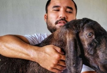 «Бір қошқарымды 1 млн 700 мың теңгеге саттым»: Журналист асыл тұқымды қошқар өсірудің сырымен бөлісті