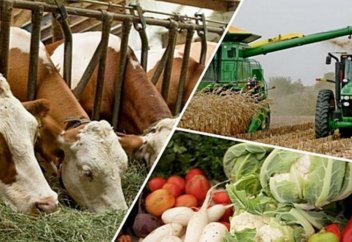 Қазақ фермерлеріне арналған мобилді қосымша шықты