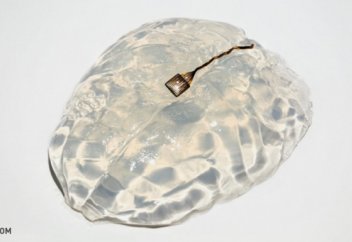 В Швейцарии изобрели чип, который вернет парализованным людям способность ходить (видео)