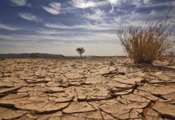 Мұсылман елі аумағының 97 пайызы құрғақшылыққа бейім