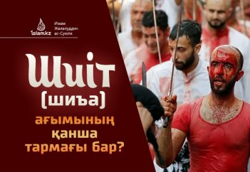 Шиіт (шиъа) ағымының тармақтары