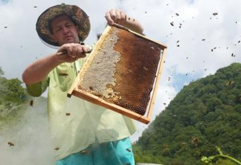 Мұсылман елі әлемнің 33 мемлекетін балмен қамтамасыз етеді