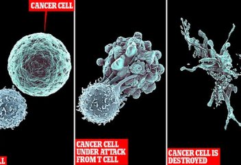 Елімізде қатерлі ісіктен болатын өлім-жітім 33%-ға төмендеді