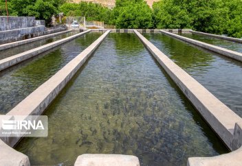 Рыбоводство в Чахармахале и Бахтиари. Производство рыболовных сетей и ниток в Чабахаре (фото)