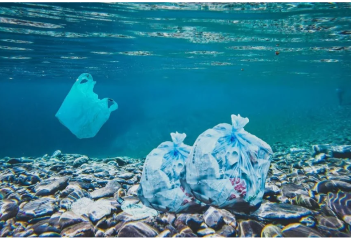 Жапон ғалымдары бірнеше сағат ішінде теңіз суында еріп кететін пластик ойлап тапты