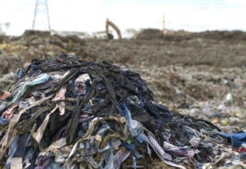 Тиынның 2-ші жағы: сән индустриясын кері тартатын жайттaр