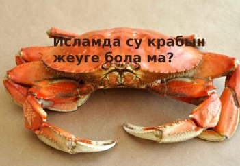 Исламда су крабын жеуге бола ма?