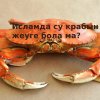 Исламда су крабын жеуге бола ма?