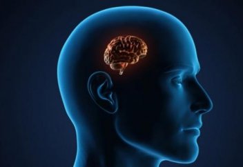 Разное: Катастрофическое падение интеллекта человечества прогнозируют ученые