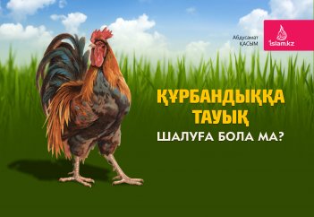 Құрбандыққа тауық шалуға бола ма?