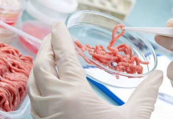 Искусственное мясо: возможно, самое перспективное IPO 2019 года