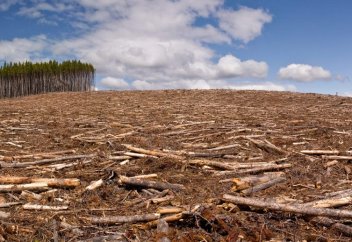Әлемдік банктердің экологияға зиянды жобаларды қаржыландырып келгені әшкере болып жатыр