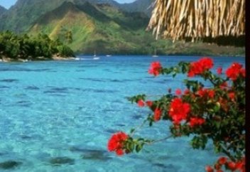 Әлидың дархан мінезділігі