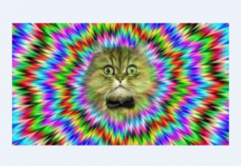 10 неожиданных фактов о галлюцинациях. Человек способен вызывать управляемые галлюцинации без психотропных веществ