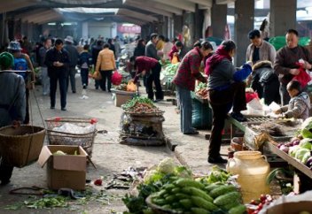 Каким образом Китай обеспечивает 1,4 млрд своих жителей овощами круглый год?