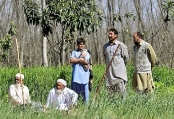 Пәкістан жасыл желек жамылып, жетістікке жетуді ойлайды...