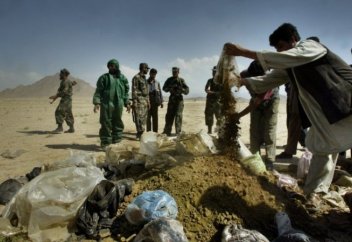 Наркотрафик из Афганистана вырос почти в два раза. Власти Афганистана выдали паспорта 3 тысячам террористов