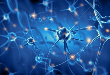 Нейрондар регенерациясын бұғаттайтын ген табылды...