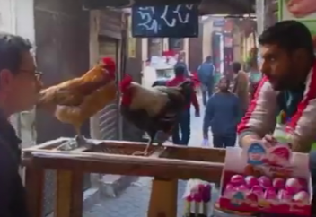 Хузур-вояж: самый древний из городов Марокко – Фес