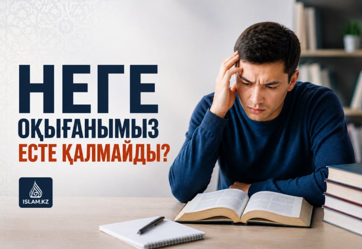Оқығанымыз неге есте қалмайды?