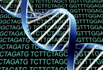 Генетикалық ақпараттың берілуінің тағы бір тетігі анықталды