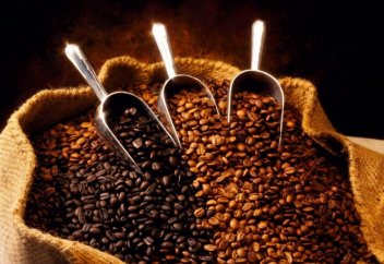 Орта Азияда кофе өсірілетін болды