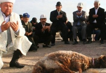 Құрбан шалуға қатысты әр мұсылман білуі тиіс 12 дерек