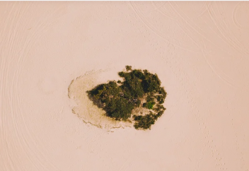 Қытай картасынан шөл дала жоғалды (видео)