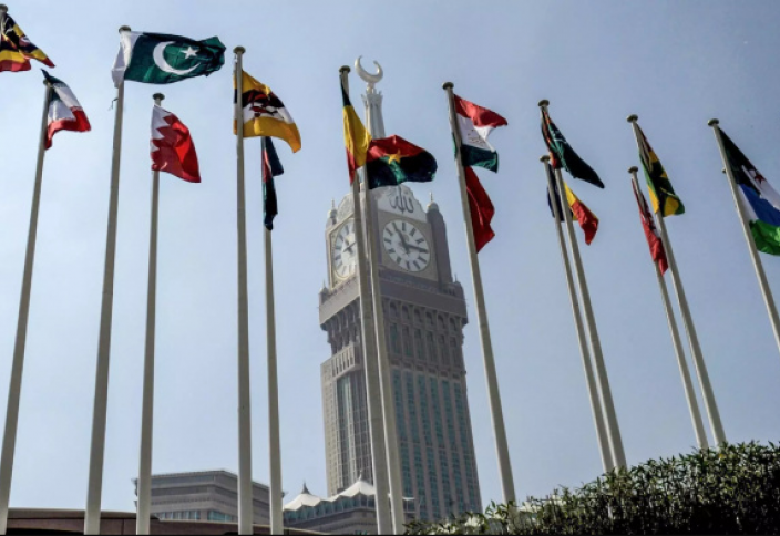 ОИС рассмотрит возможность введения эмбарго на товары из Швеции и Дании