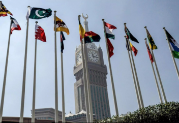 ОИС рассмотрит возможность введения эмбарго на товары из Швеции и Дании