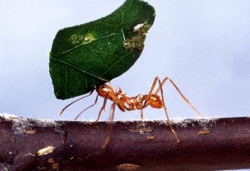 Кімнен, нені күтеміз..?