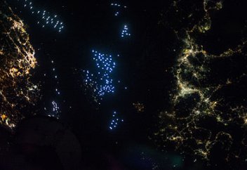 Жасанды жарық тіршілікке қауіпті болып шықты